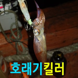 호래기낚시 남해산업사 연화도 802UL 호래기낚시 볼락낚시 낚시카페 강력추천 낚싯대