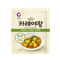 대상 청정원 카레여왕 크림치즈 40g