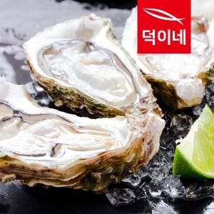 통영산 하프셀 100미 내외 굴 생굴 석화 반각굴 각굴