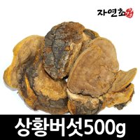 자연산 상황버섯 500g