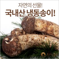 자연산송이버섯/능이버섯(국내산/냉동)