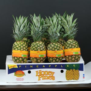 고당도 골드파인애플 6입-12입 /맛잇는 우리존과일