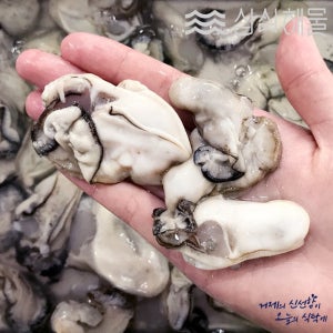 청정해역 바다의 우유 통통한 생굴 깐굴 1kg