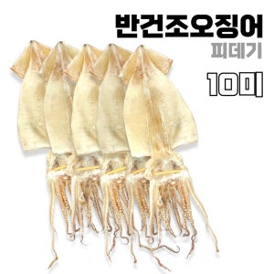 반건조오징어 피데기 10미