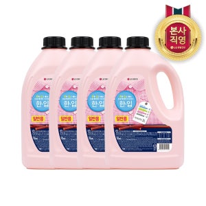 한입 세탁세제 일반 용기 3L 4개
