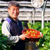 산청 딸기 산지직송1kg