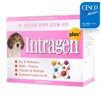 고양이 강아지 인트라젠 플러스 영양제 분말 30p