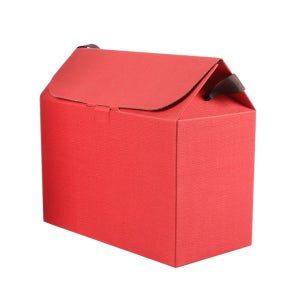 E-15 레드 다용도박스 (50개) - W242 x D123 x H150(+60)mm