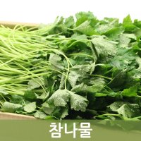 참나물 4kg 1박스 두리반농산