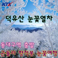 [부산/동대구 출발] 덕유산 눈꽃 기차여행(무주덕유산곤도라 눈꽃여행) 국내 겨울 당일치기여행/코레일눈꽃열차