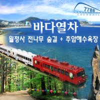 강릉KTX 기차여행(코레일예매 강원도바다열차 동해산타열차)/ 투어레일