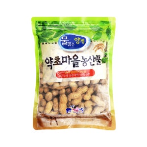 2025년산 햇곡 국산 피땅콩300g 생땅콩 새싹 씨앗