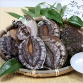 당일채취한 완도 참전복(특) 1kg(11~13미)