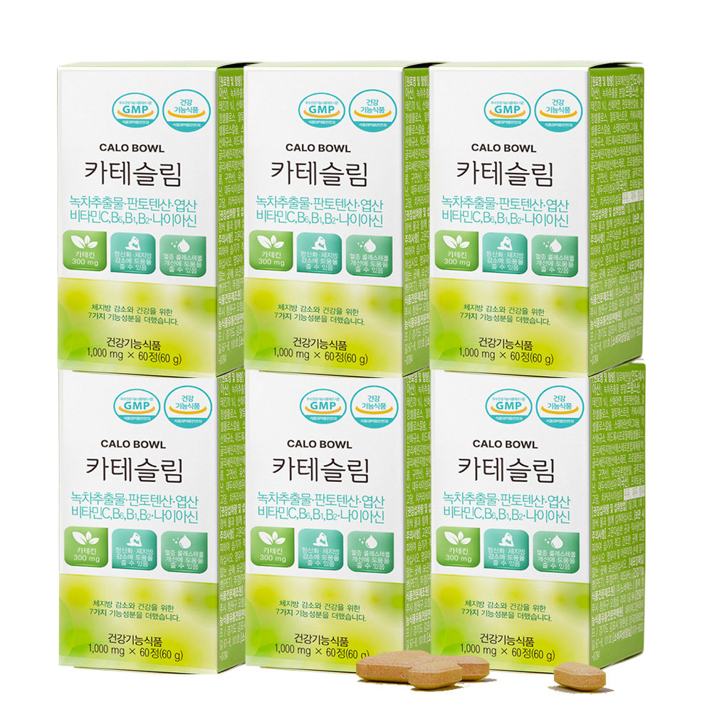 약6달 카테슬림 녹차 카테킨 효과좋은 다이어트 보조제