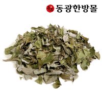 국내산 참가시나무잎/이백저 600g