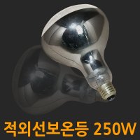 남영전구 250W 적외선 보온등 보온전구 열전구 전구