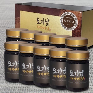 오기남차가버섯 프리미엄 추출 분말 가루 대용량, 100g, 10개
