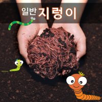 지렁이/지렁이농장지거래/학습용지렁이/실습용