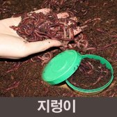 지렁이/지렁이농장지거래/학습용지렁이/실습용/40마리