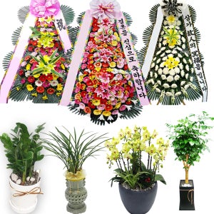 광고 메인 이미지