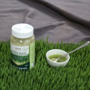 새싹보리분말,수경 재배,새싹보리 뿌리,건강 식품