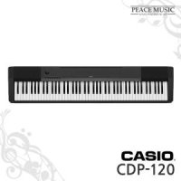 [피스뮤직] Casio/카시오CDP-120/CDP 120