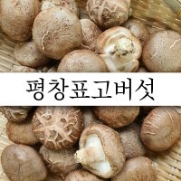 [평창사람들] 고랭지 친환경 무농약 생표고버섯 1kg