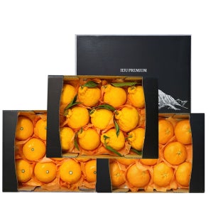 제주 천혜향 한라봉 레드향 세트