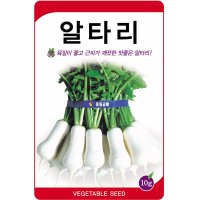 일류 알타리씨앗 10g