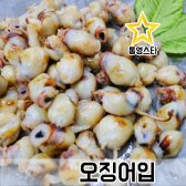 국내산 조미 오징어입 400g(아이스 박스 포함)