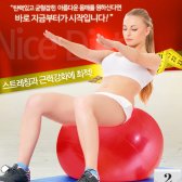 요가 마사지 필라테스 실내운동 스트레칭 헬스 짐볼