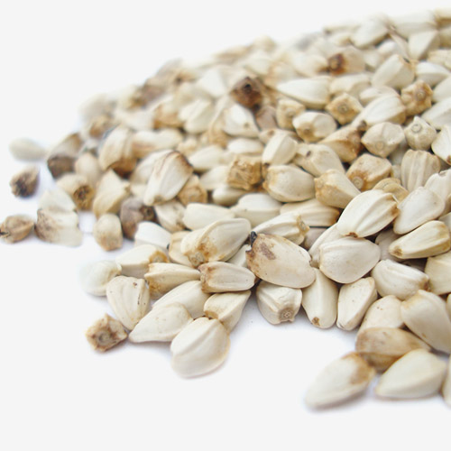 국내산 <b>홍화</b>씨 볶은<b>홍화</b>씨 500g