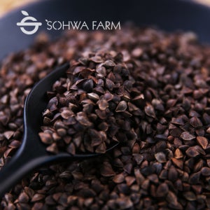 국산 볶은 통 메밀차 500g 볶은통메밀차