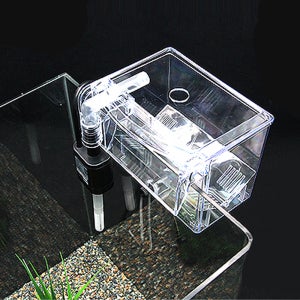 도핀 (수중모터포함) 걸이식 부화통 BB-10 구피 새우 코리도라스 부화통 브리딩 박스