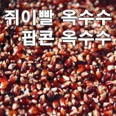 쥐이빨옥수수, 팝콘옥수수, 집에서 쉽게 만들어먹는 토종옥수수 100g