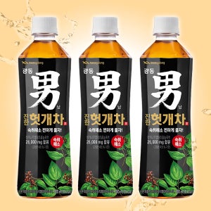 광동 헛개차 음료 500ml x 20개입