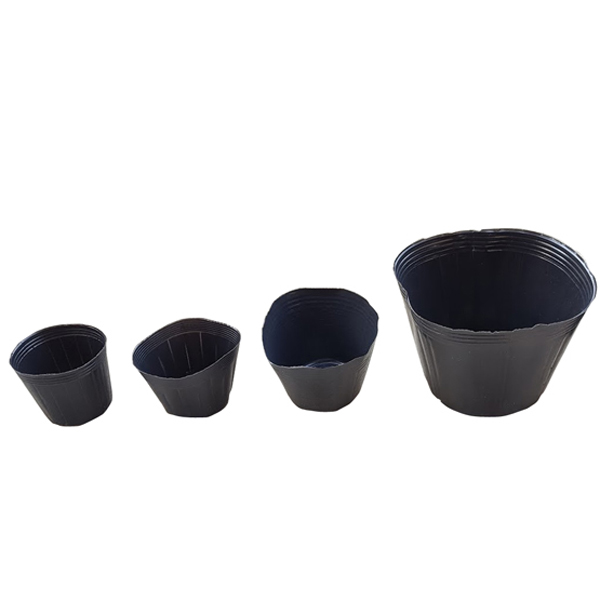 [가든팜] 비닐포트 대량 육모용