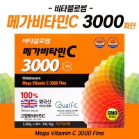 비타블로썸 메가비타민 C3000 파인