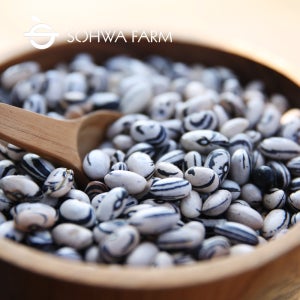 2025년 제비강낭콩 1kg 호랑이콩