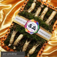 순이네인삼 수삼선물세트 1채 750g