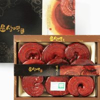 국내산 유기농 영지버섯 1kg (특품) 원형 / 절편