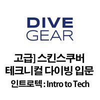 [고급과정] 스킨스쿠버 테크니컬 다이빙 입문 ( 인트로텍 : Intro to Tech )