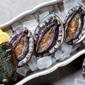 [주문당일포장] 완도 다시마 특대 전복 1kg(6~8미) 추석선물세트 활전복 이바지