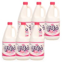 락스 향락스 2L 6개