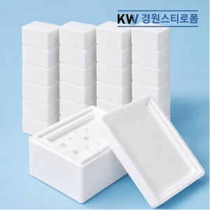 스티로폼박스 아이스 박스 소형 택배용 포장용 송이 블루베리상자 0.5kg - 28개