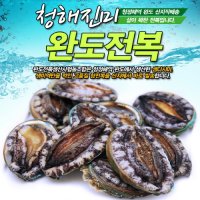 (추석선물) 명품10호 특대전복 1kg(8-9미)+고급선물 가방포함