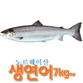 노르웨이생연어 6~7kg(내장만 제거)/연어샐러드/통연어salmon/훈제연어/필렛