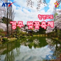 경주벚꽃KTX 천년고도 경주벚꽃축제(황리단길/대릉원·첨성대/보문단지) 국내당일치기 코레일기차여행