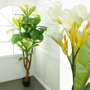 인조목 플루메리아 프랜지파니 용담목 200cm 네츄럴 실내 조경 장식 가짜 조화 식물 나무 화분