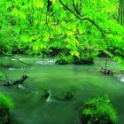 일본패키지 여행지 단체 2박3일 일본여행사추천 [천혜의 자연과 온천 특별한 아오모리 3일] 6월 일본 아오모리관광지정보